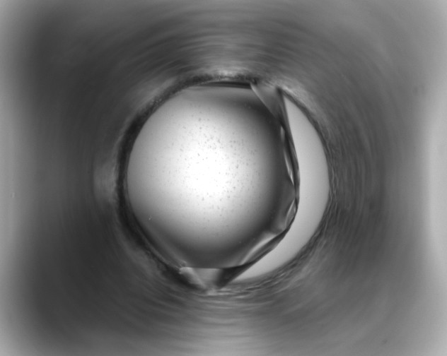 X0000088440440200706051251