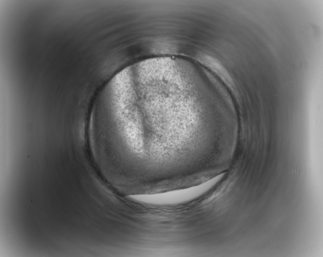 X0000088440441200706051251