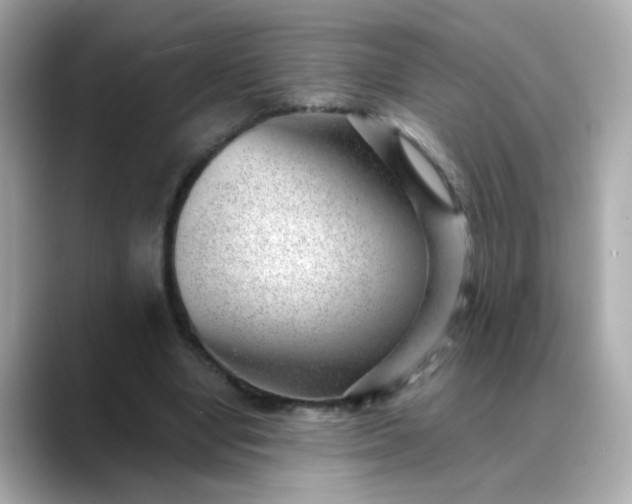 X0000088440442200706051251