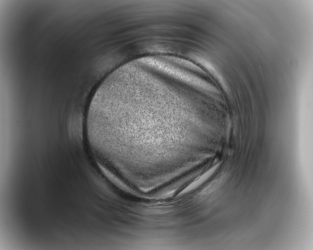 X0000088440445200706051251