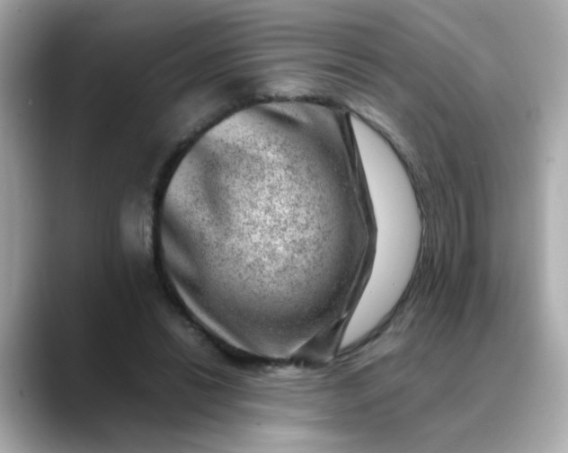 X0000088440446200706051251