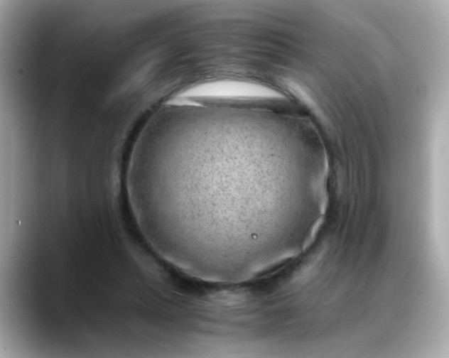 X0000088440447200706051251