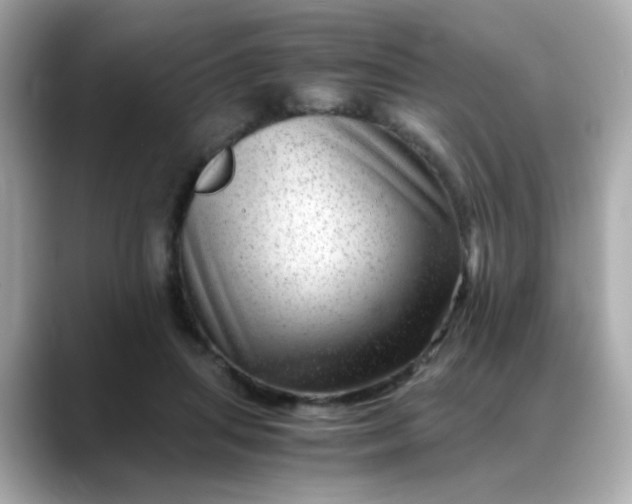 X0000088440455200706051251