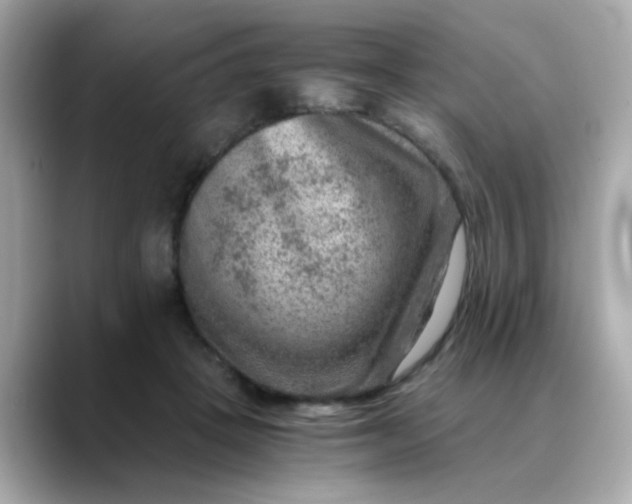 X0000088440457200706051251