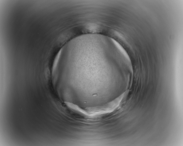 X0000088440459200706051251