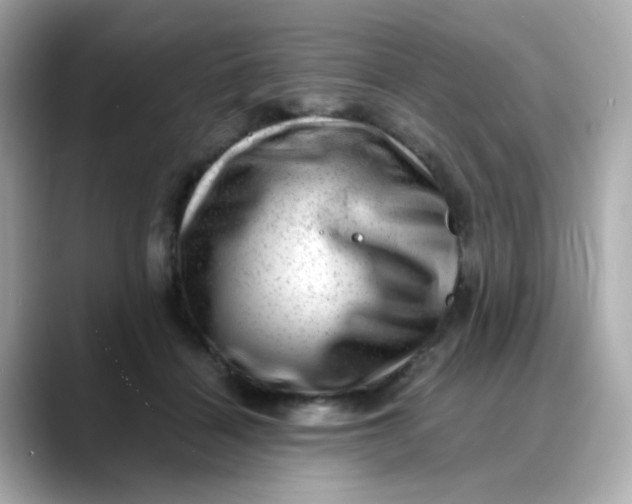 X0000088440460200706051251