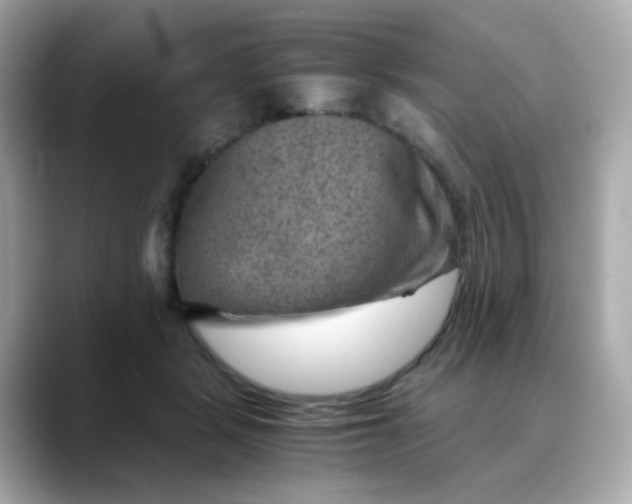 X0000088440461200706051251