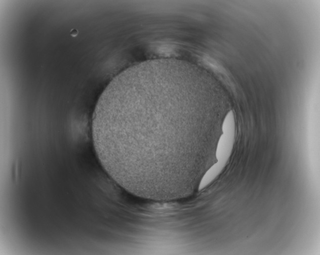 X0000088440465200706051251