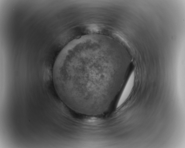X0000088440467200706051251