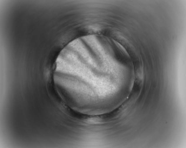 X0000088440468200706051251