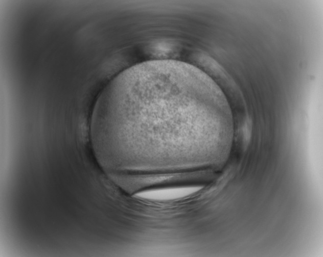 X0000088440469200706051251