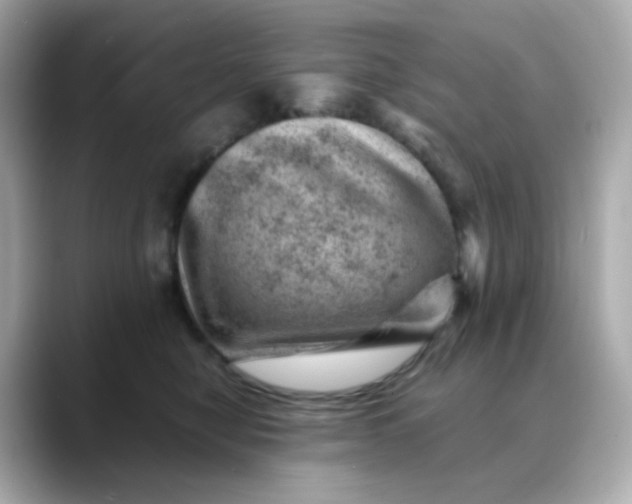 X0000088440470200706051251