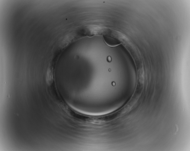 X0000088440471200706051251