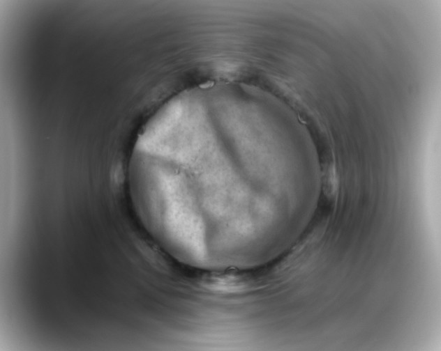 X0000088440472200706051251