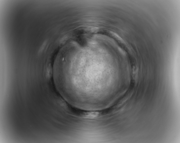 X0000088440474200706051251