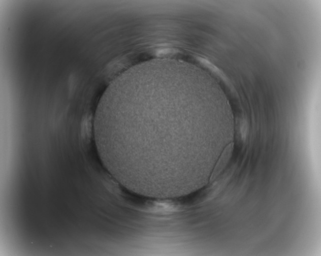 X0000088440475200706051251