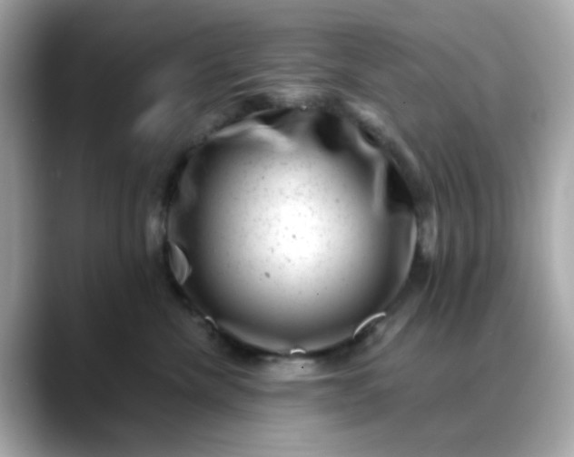 X0000088440476200706051251