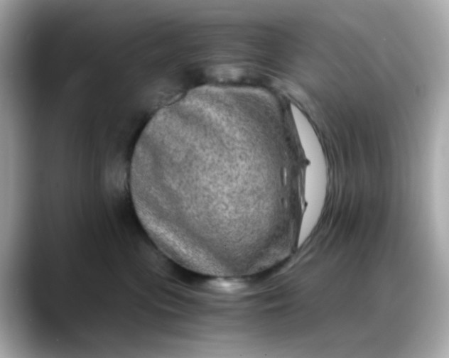 X0000088440477200706051251