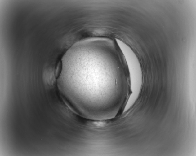 X0000088440478200706051251