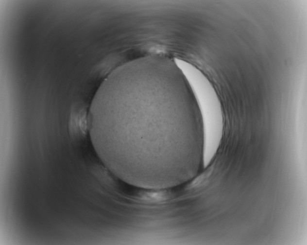 X0000088440479200706051251