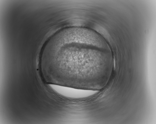 X0000088440483200706051251