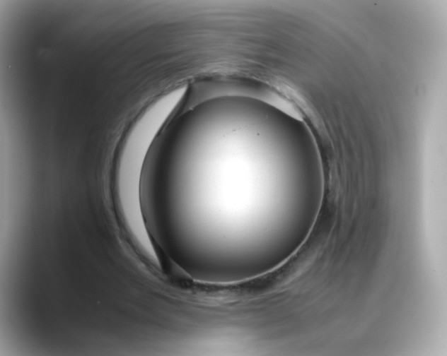 X0000088440485200706051251