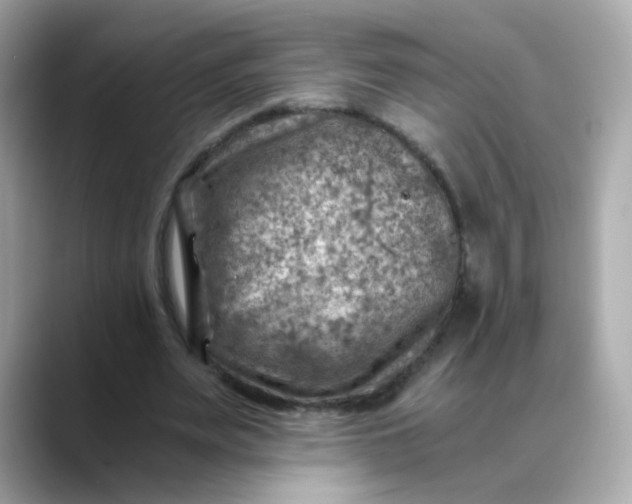 X0000088440487200706051251