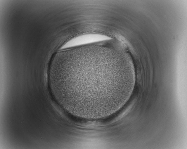 X0000088440493200706051251