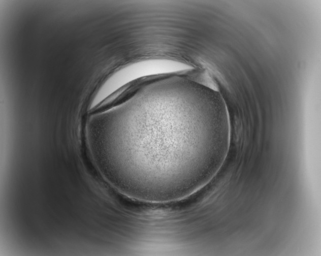 X0000088440494200706051251