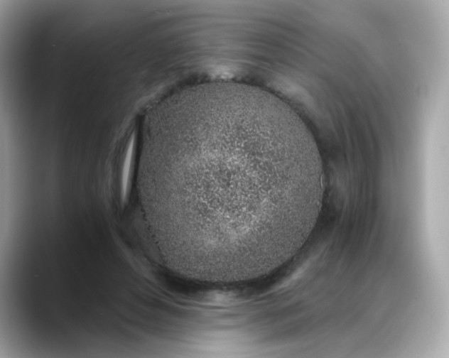 X0000088440496200706051251