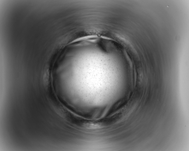 X0000088440498200706051251