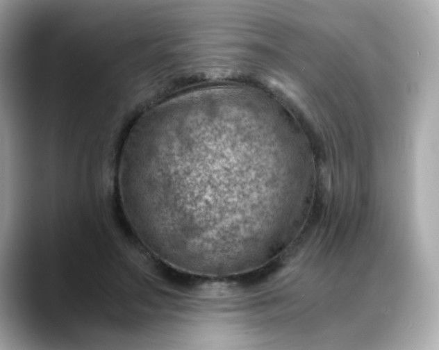 X0000088440499200706051251