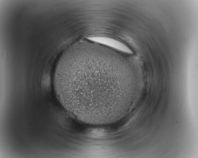 X0000088440500200706051251