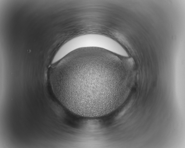 X0000088440501200706051250