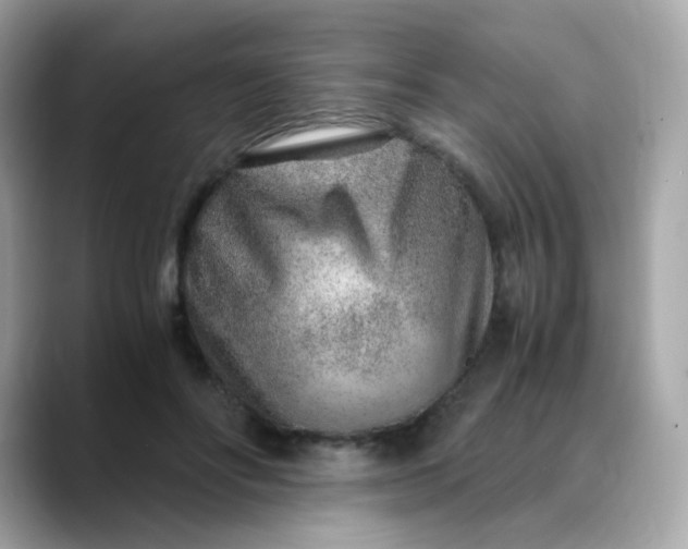 X0000088440502200706051250