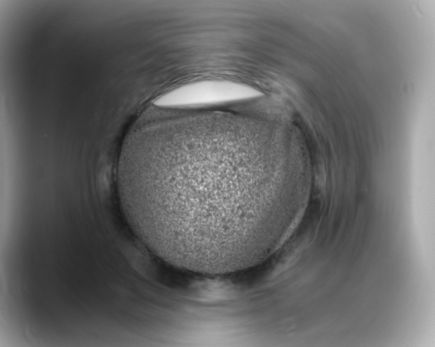 X0000088440503200706051250