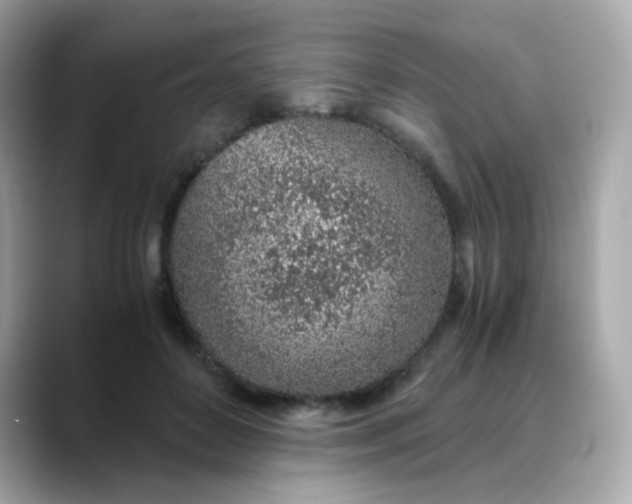 X0000088440504200706051250