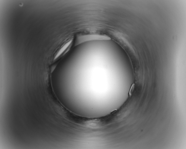 X0000088440505200706051250