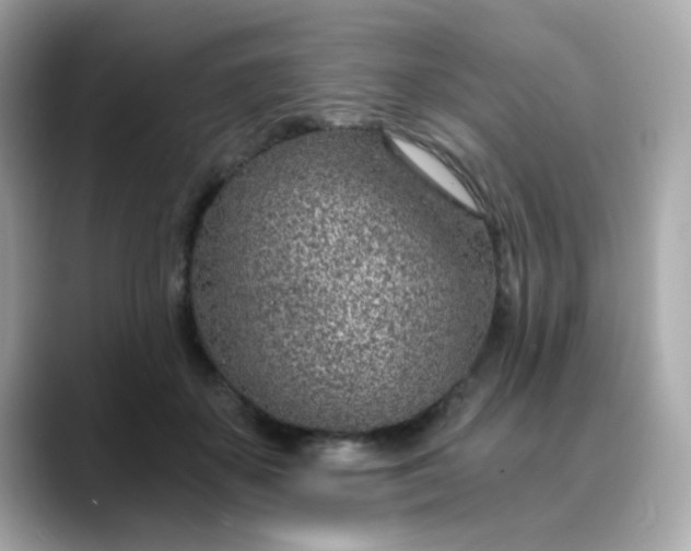 X0000088440507200706051250