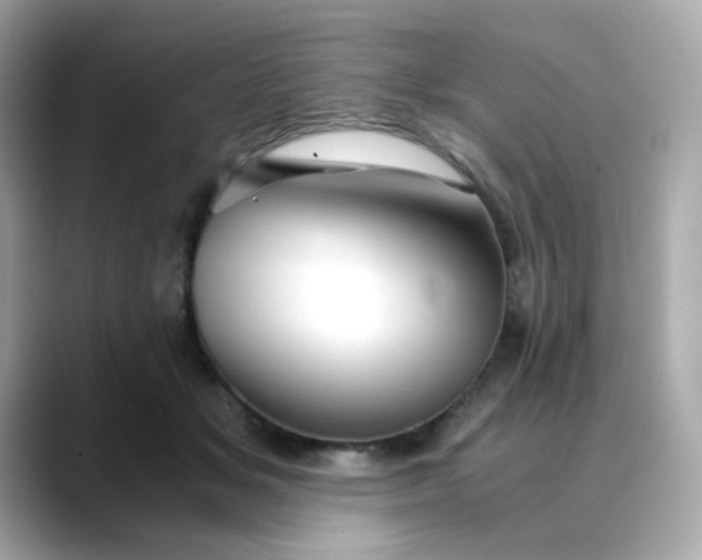 X0000088440509200706051250