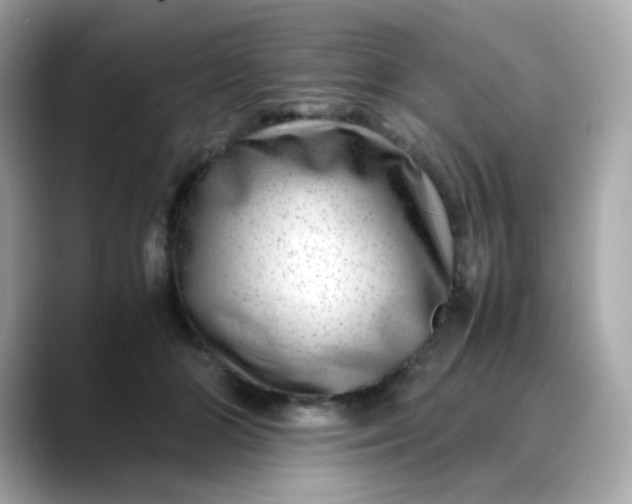 X0000088440510200706051250