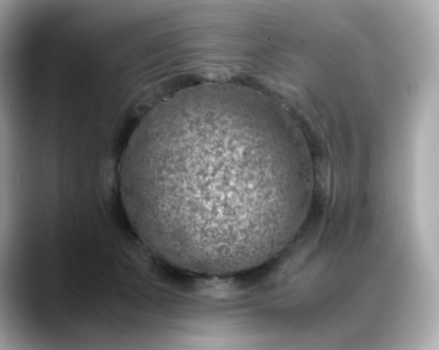 X0000088440511200706051250