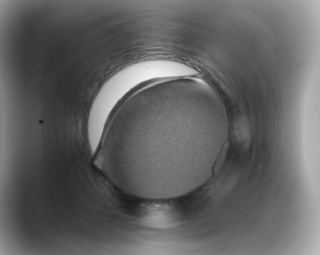 X0000088440512200706051250