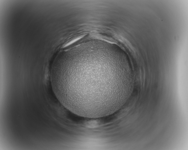 X0000088440513200706051250