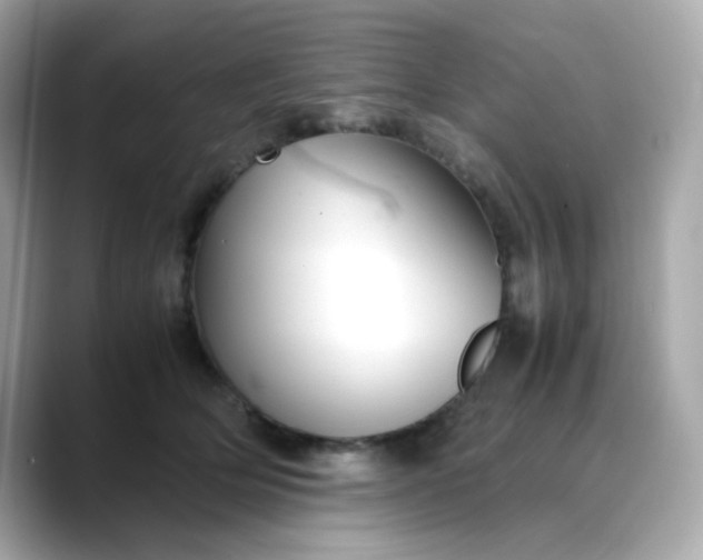 X0000088440514200706051250