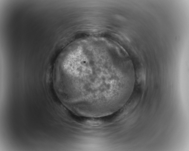 X0000088440515200706051250