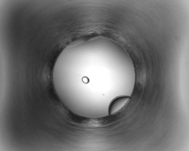 X0000088440518200706051250