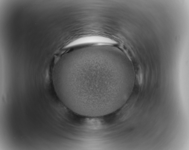 X0000088440520200706051250