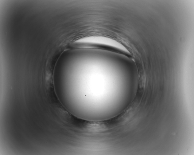 X0000088440521200706051250