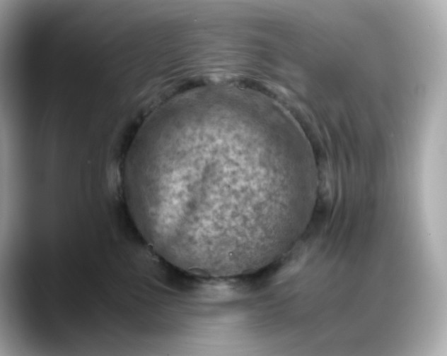X0000088440523200706051250